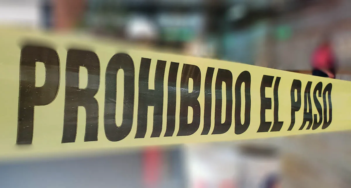 BUSCAR TAMBIÉN MATA EN MÉXICO