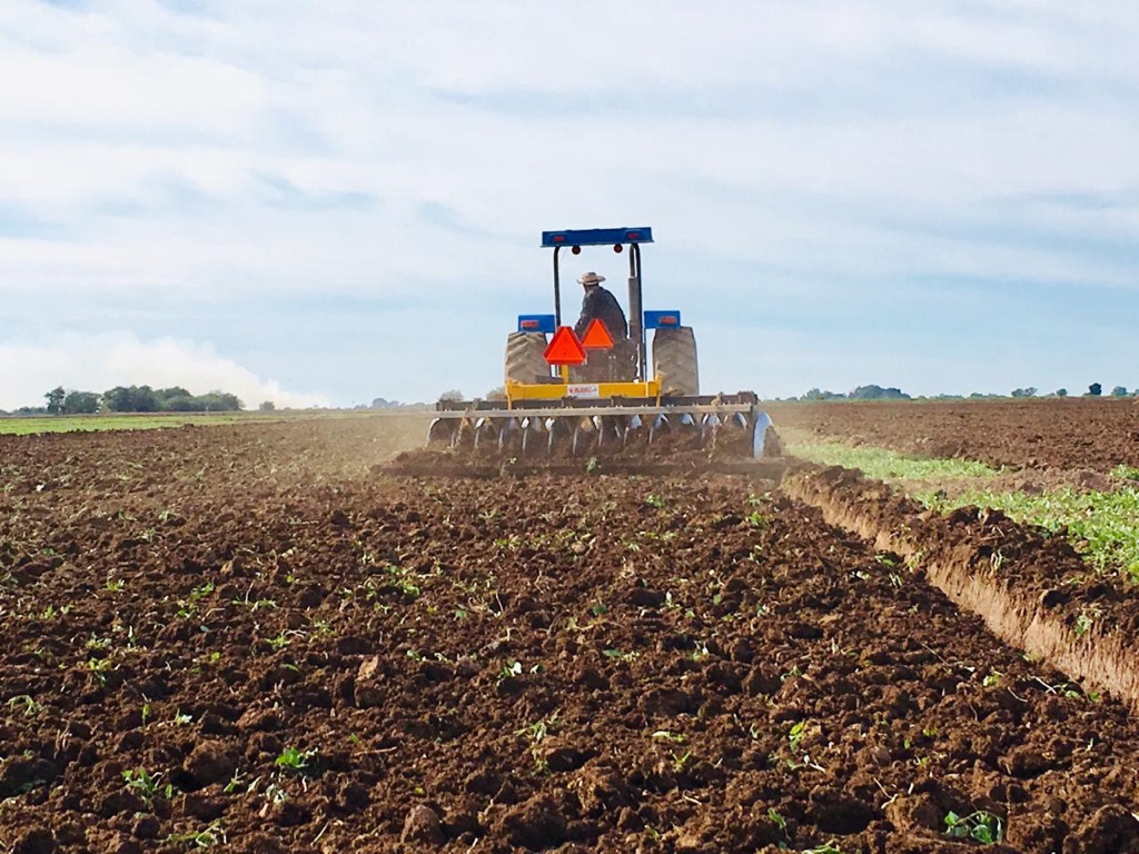 SE PREPARAN HORTICULTORES PARA INICIAR CON PRIMERAS SIEMBRAS EN SEPTIEMBRE